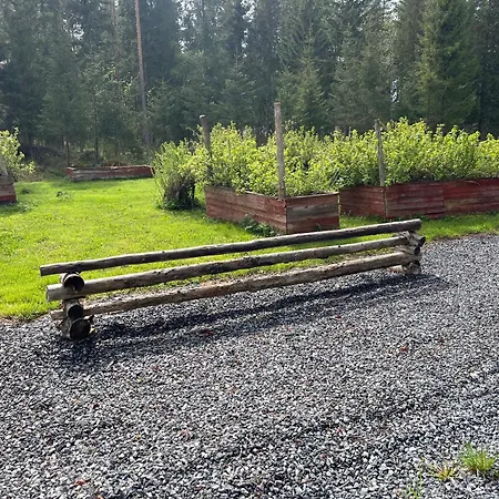 Apartmán Kuninkaankivi